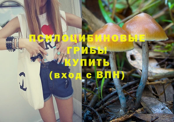 хмурый Нягань