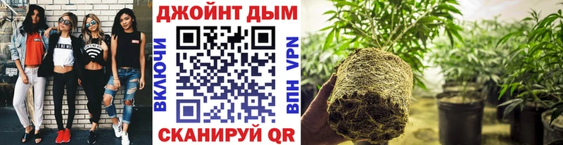 Канабис LSD WEED  mega зеркало  Старая Русса 